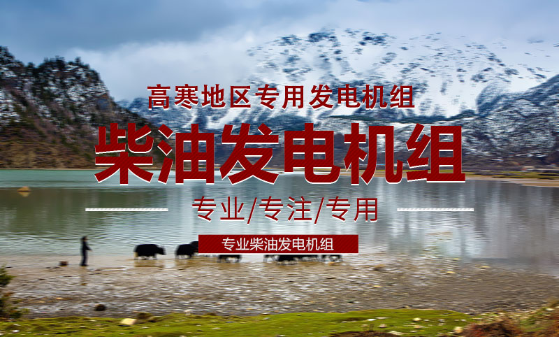 高寒地區(qū)專(zhuān)用柴油發(fā)電機(jī)組
